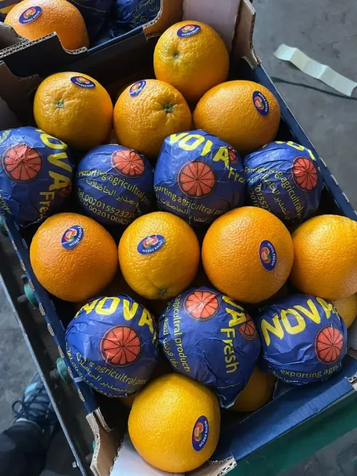 Oranges