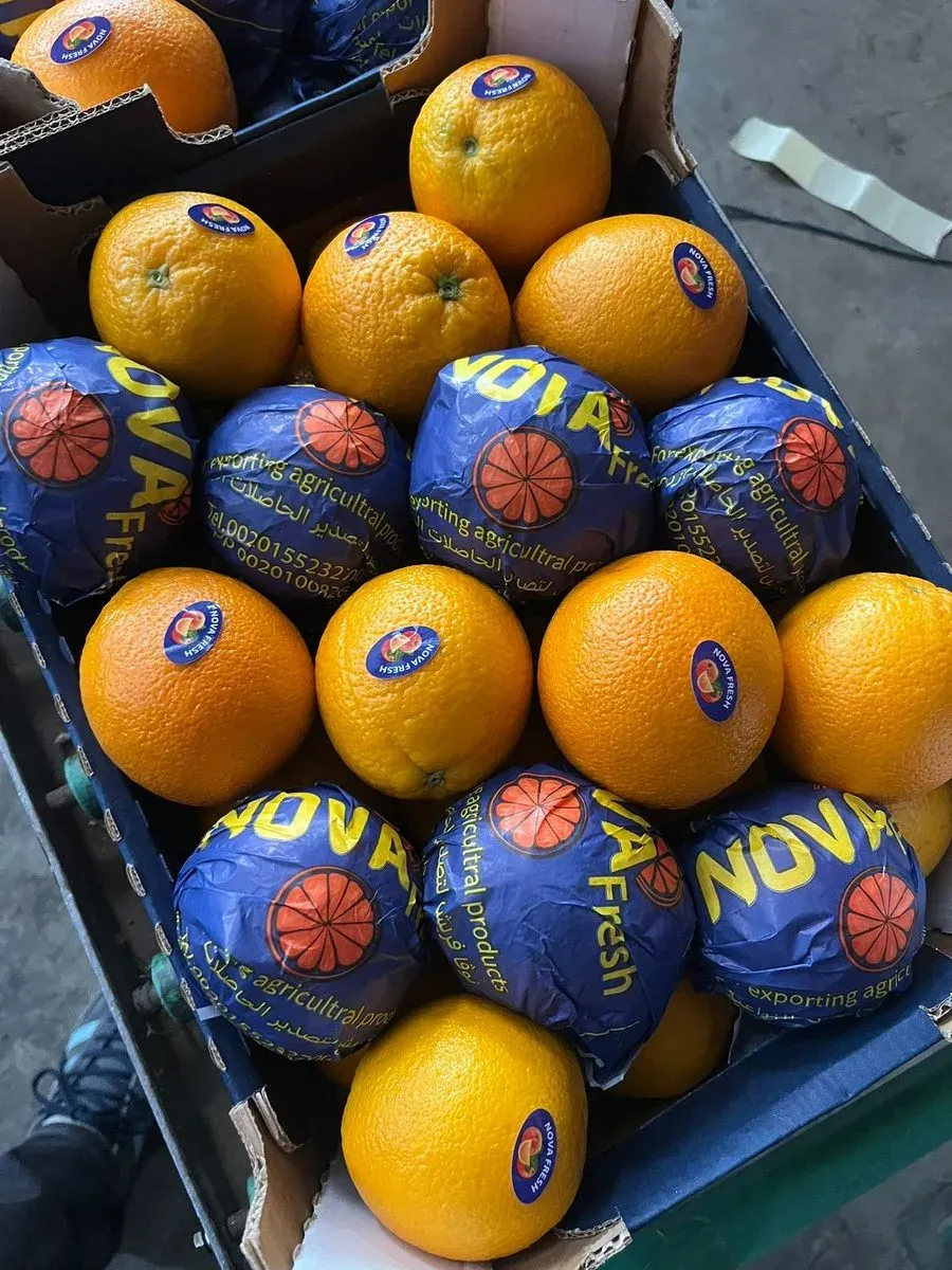 Oranges